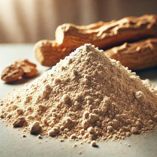 Shatavari Powder
