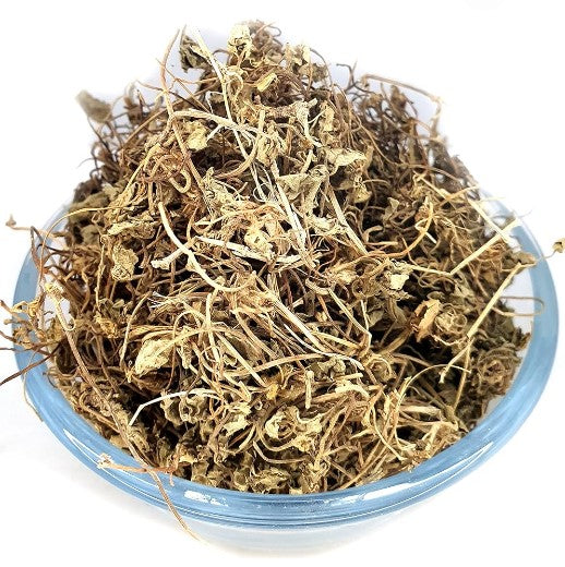 Brahmi (Bacopa Monnieri) - Natural Cognitive Enhancer