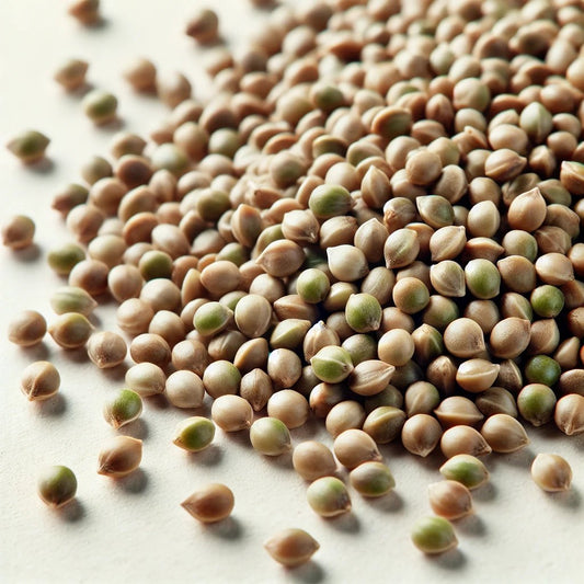 Hemp Seed